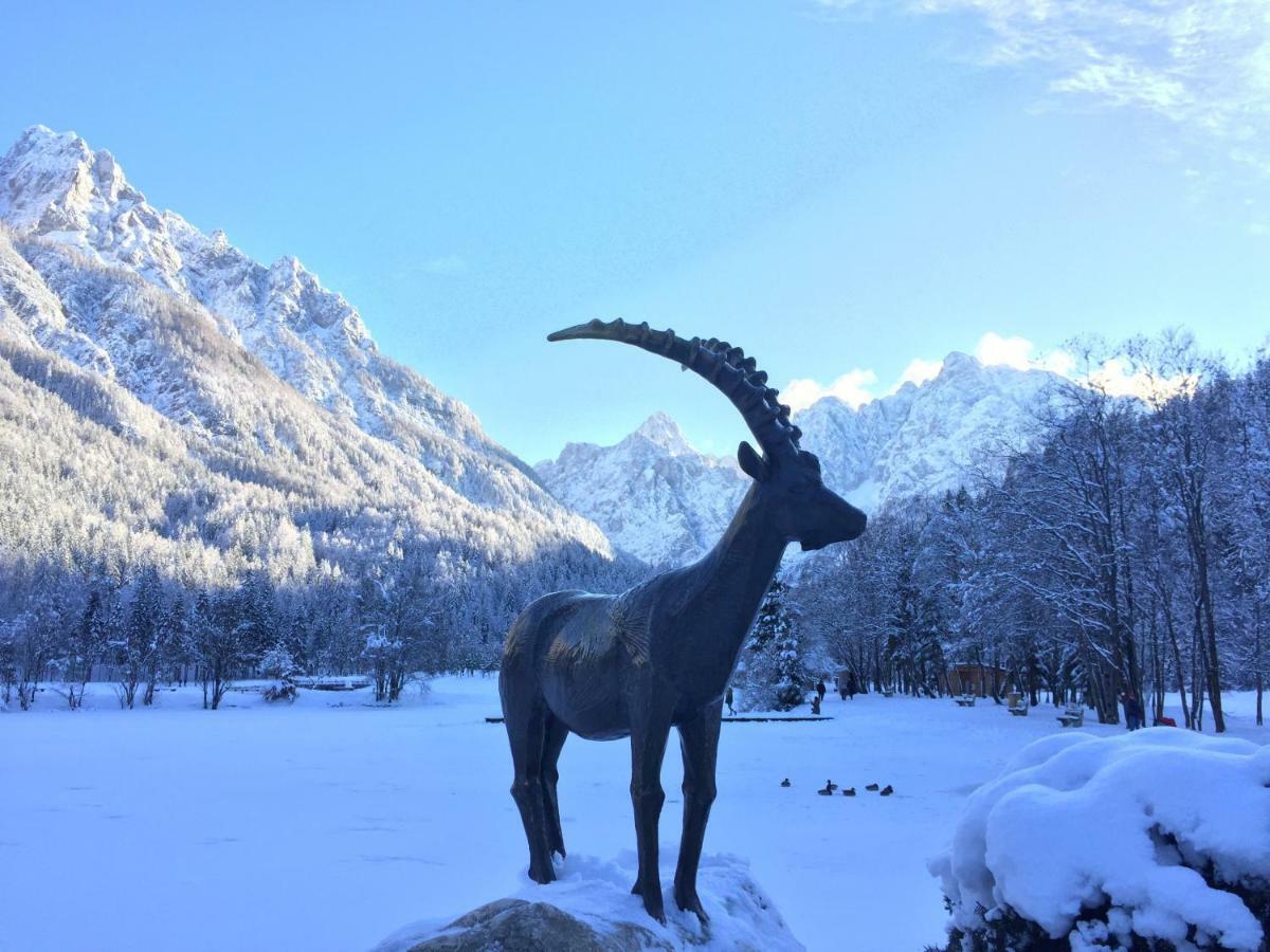 Vila Mojca Apartma Peridot - Center Kranjska Gora Exterior foto