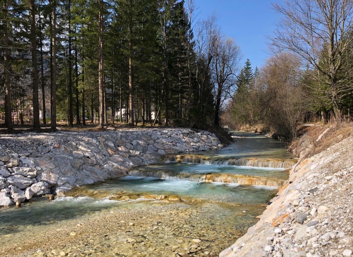 Vila Mojca Apartma Peridot - Center Kranjska Gora Exterior foto