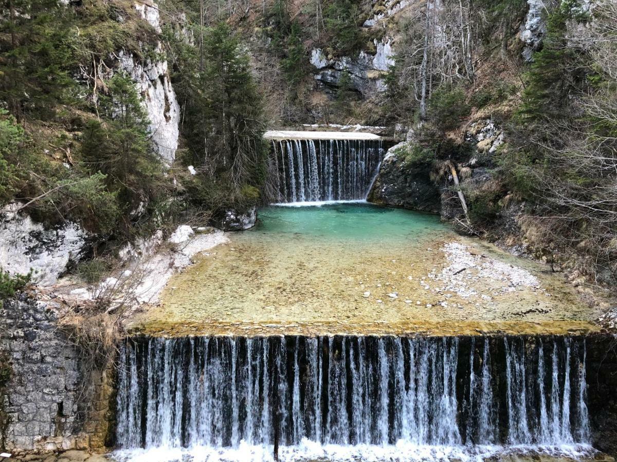 Vila Mojca Apartma Peridot - Center Kranjska Gora Exterior foto