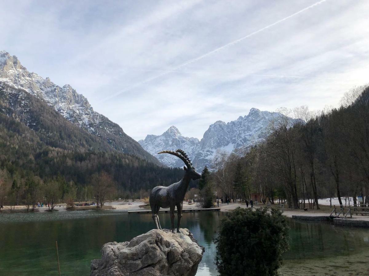 Vila Mojca Apartma Peridot - Center Kranjska Gora Exterior foto