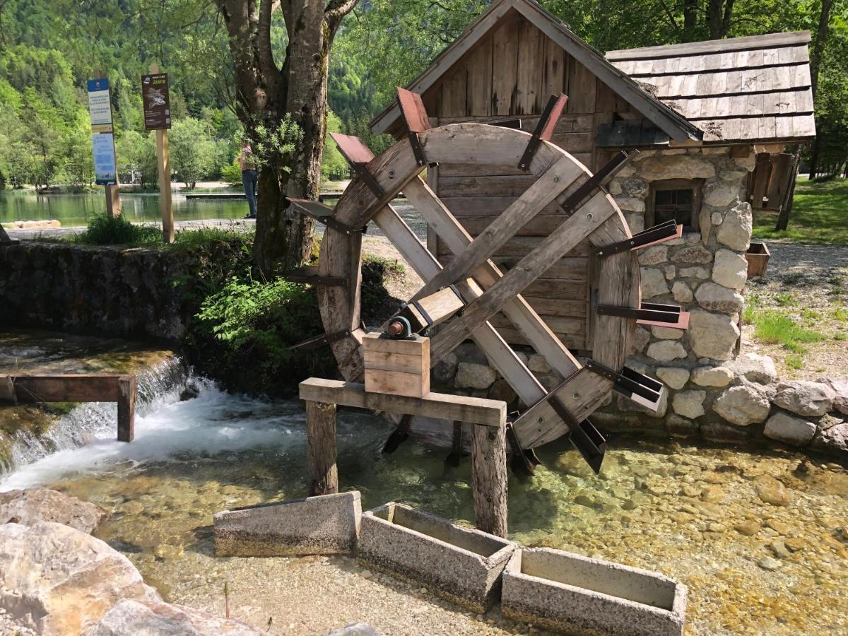 Vila Mojca Apartma Peridot - Center Kranjska Gora Exterior foto