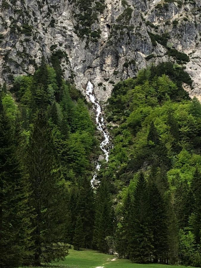 Vila Mojca Apartma Peridot - Center Kranjska Gora Exterior foto